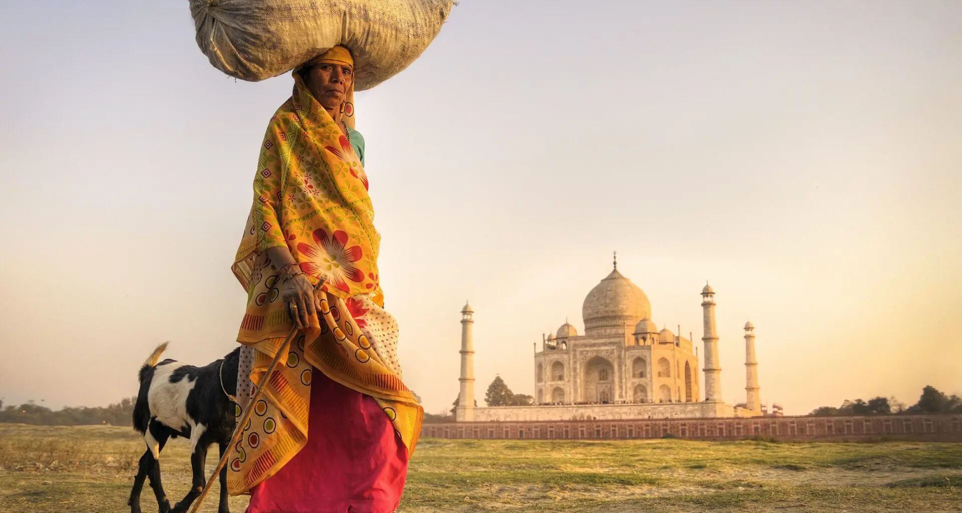 Indian Woman Carrying on Head and Goats near the Taj Mahal