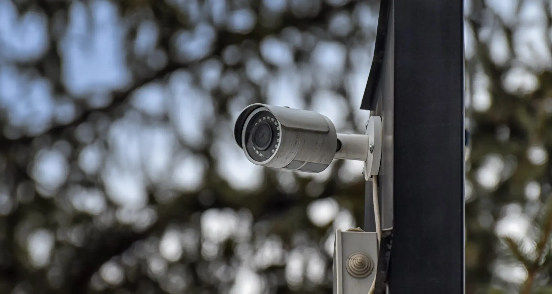 A security camera is attached to a pole with a blurred backdrop of tree branches.