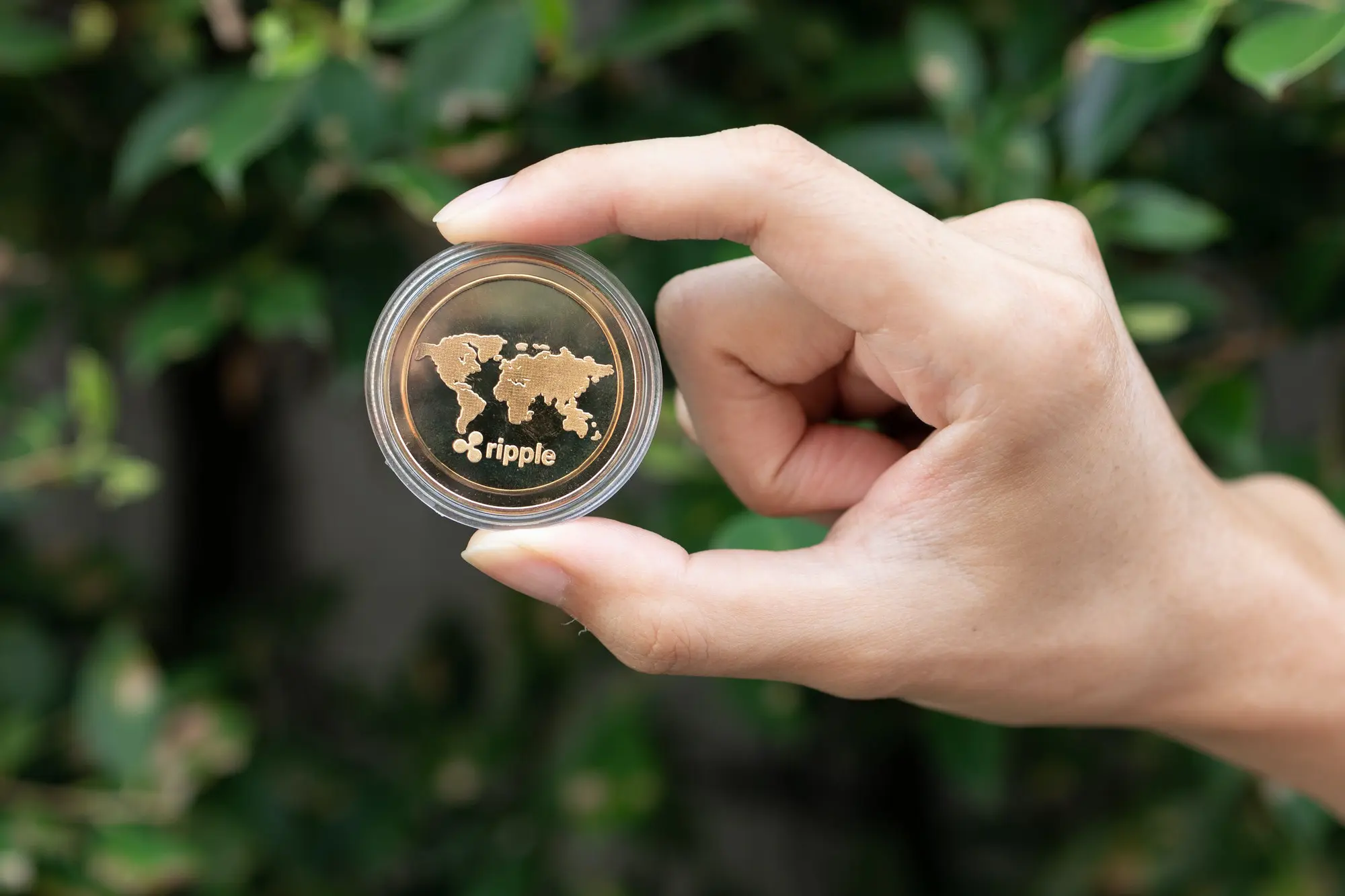 Young man holding XRP Ripple coin in hand with green bush in background