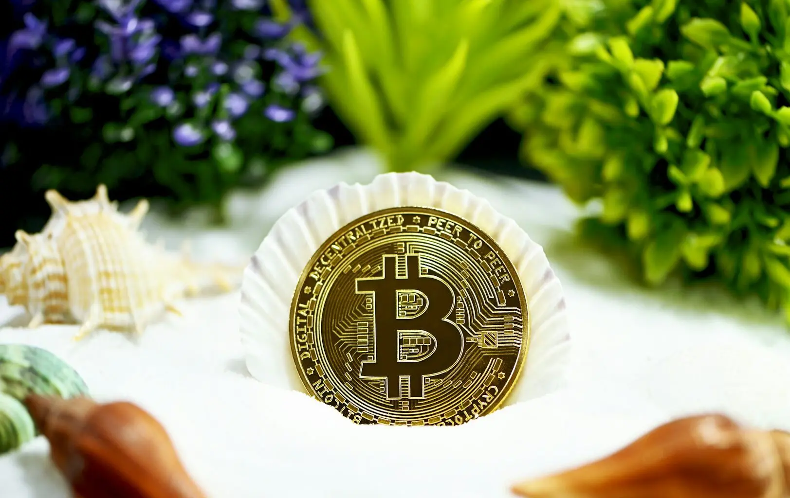 An image of a bitcoin in front of nature elements.
