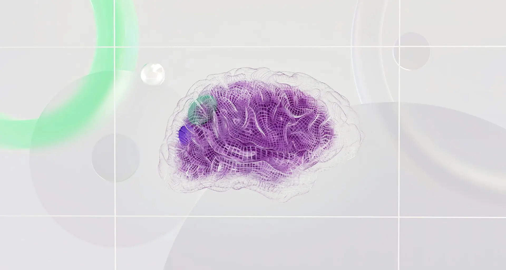 A close-up image of a purple brain.