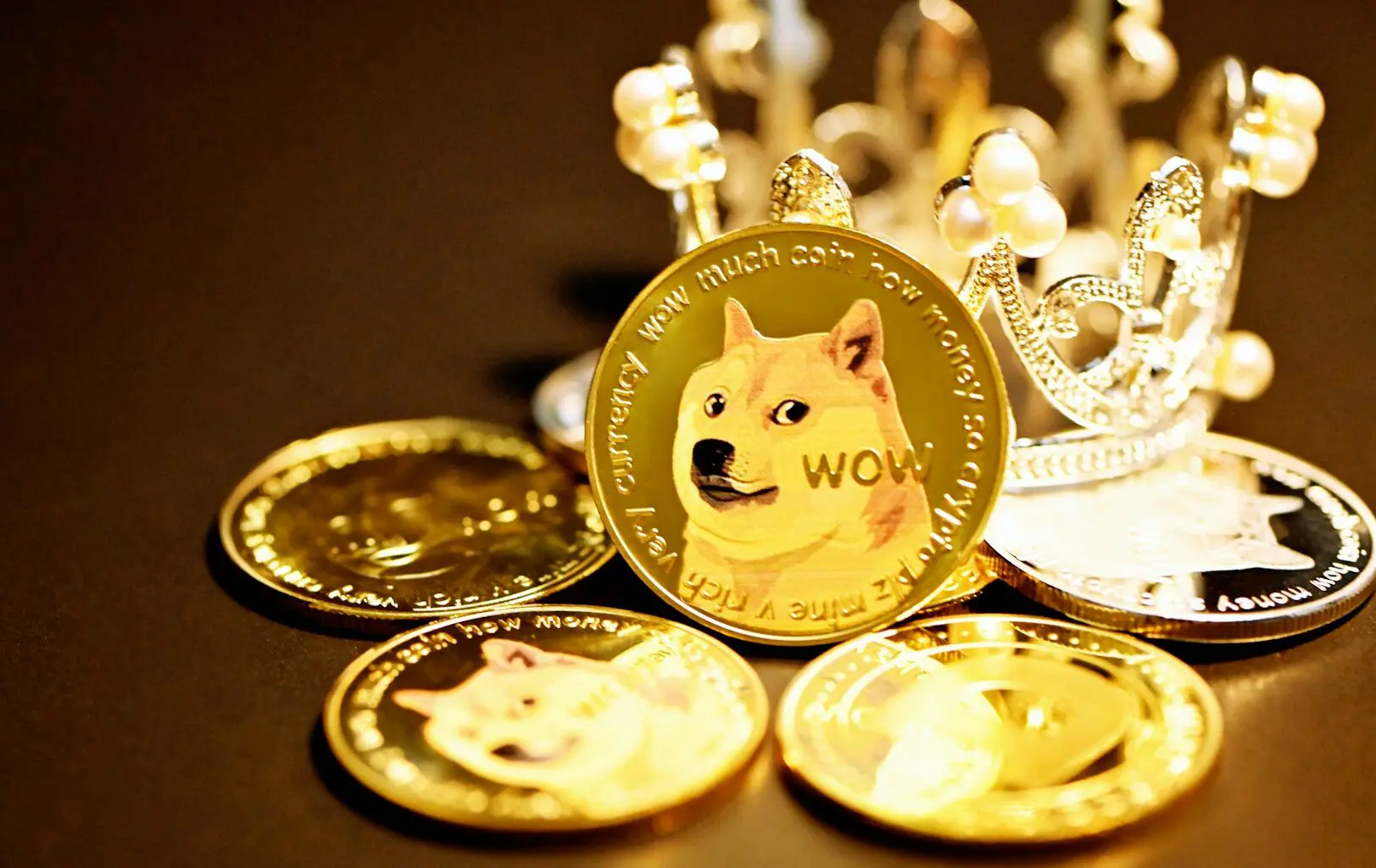An image of a physical Shiba Inu coin.
