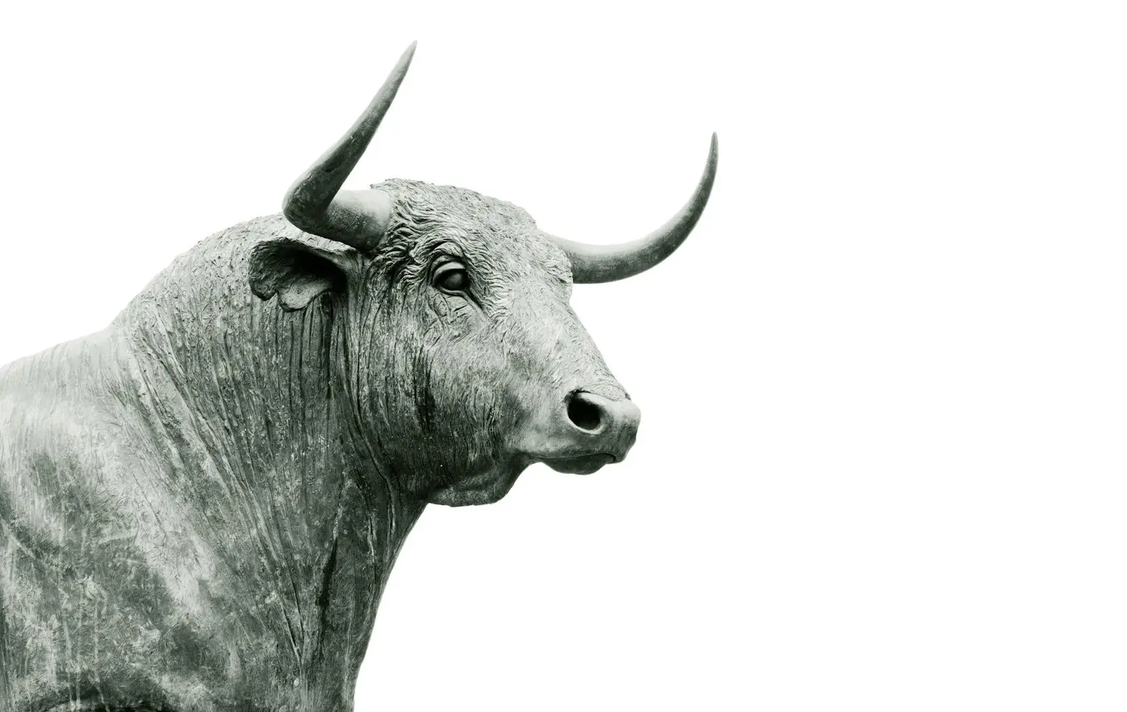 A bull representing uptrends in cryptocurrency.