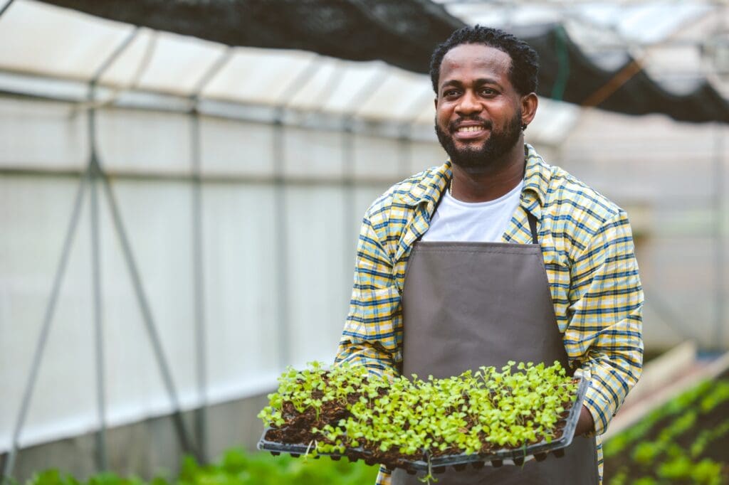 A man with a happy expression holding a tray of young plants in a greenhouse.