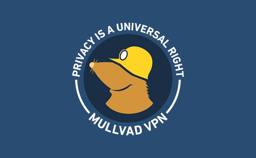 The image displays the logo of Mullvad VPN featuring a stylized mole with a caption about privacy being a universal right, set against a dark blue background.